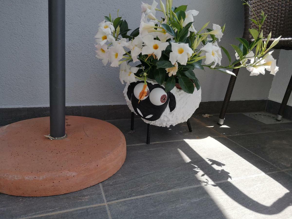 Apartman Abc Šibenik Dış mekan fotoğraf